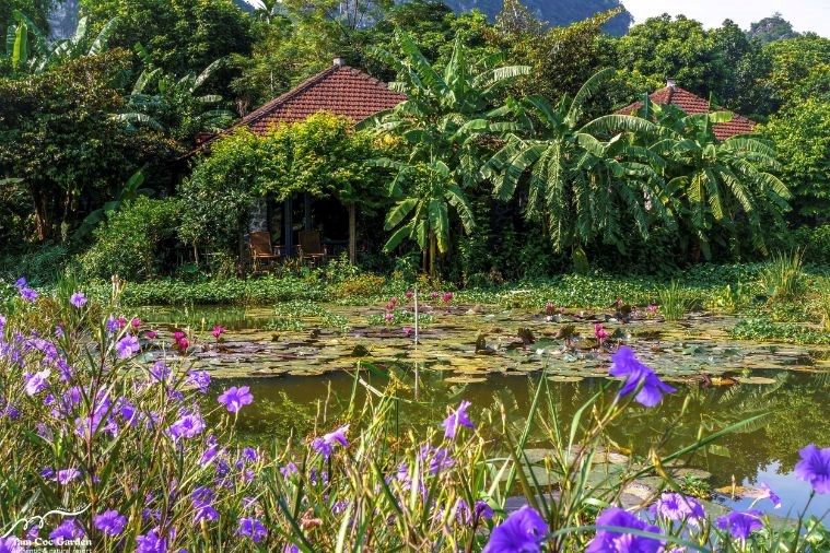 Premium Tonkin Garden Bungalow